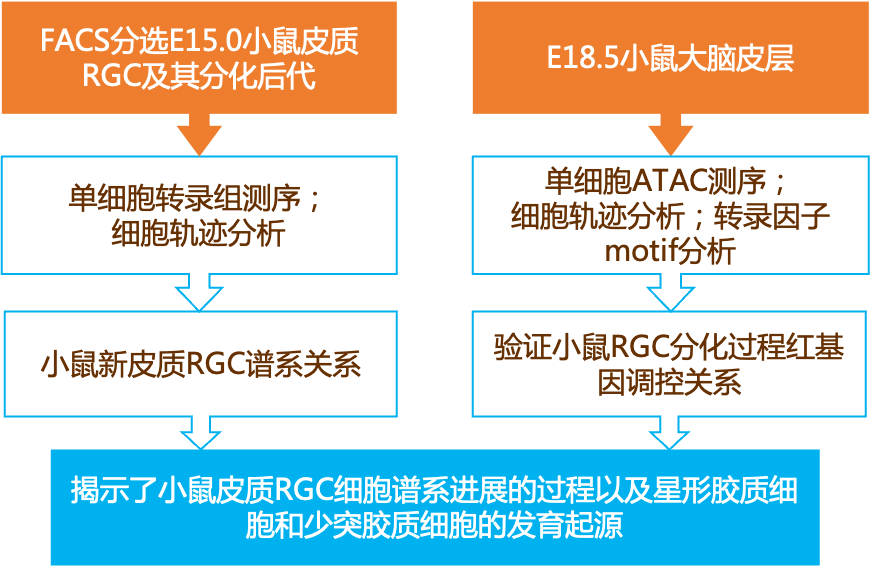 新奥正版全年免费资料,广泛的解释落实方法分析_苹果版19.407