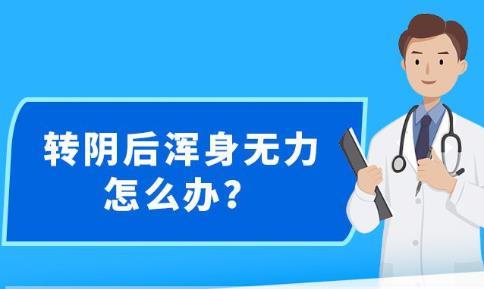 新澳精准资料免费提供,实证分析说明_XT58.455