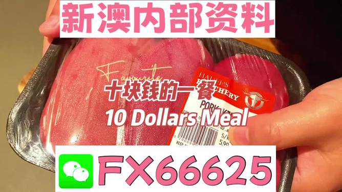 新澳精准资料免费大全,经典解析说明_Max14.904