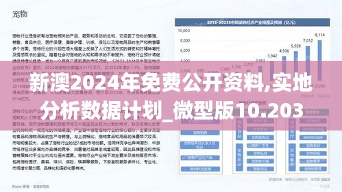 2024新澳正版免费资料,专业调查解析说明_8K96.214